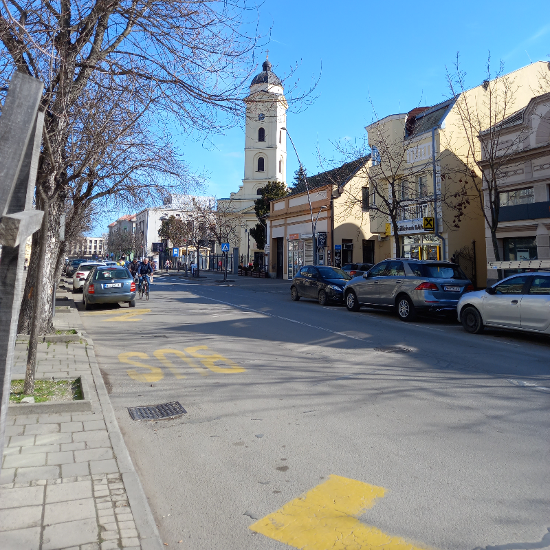 У Шапцу проглашена ванредна ситуација због афричке куге свиња